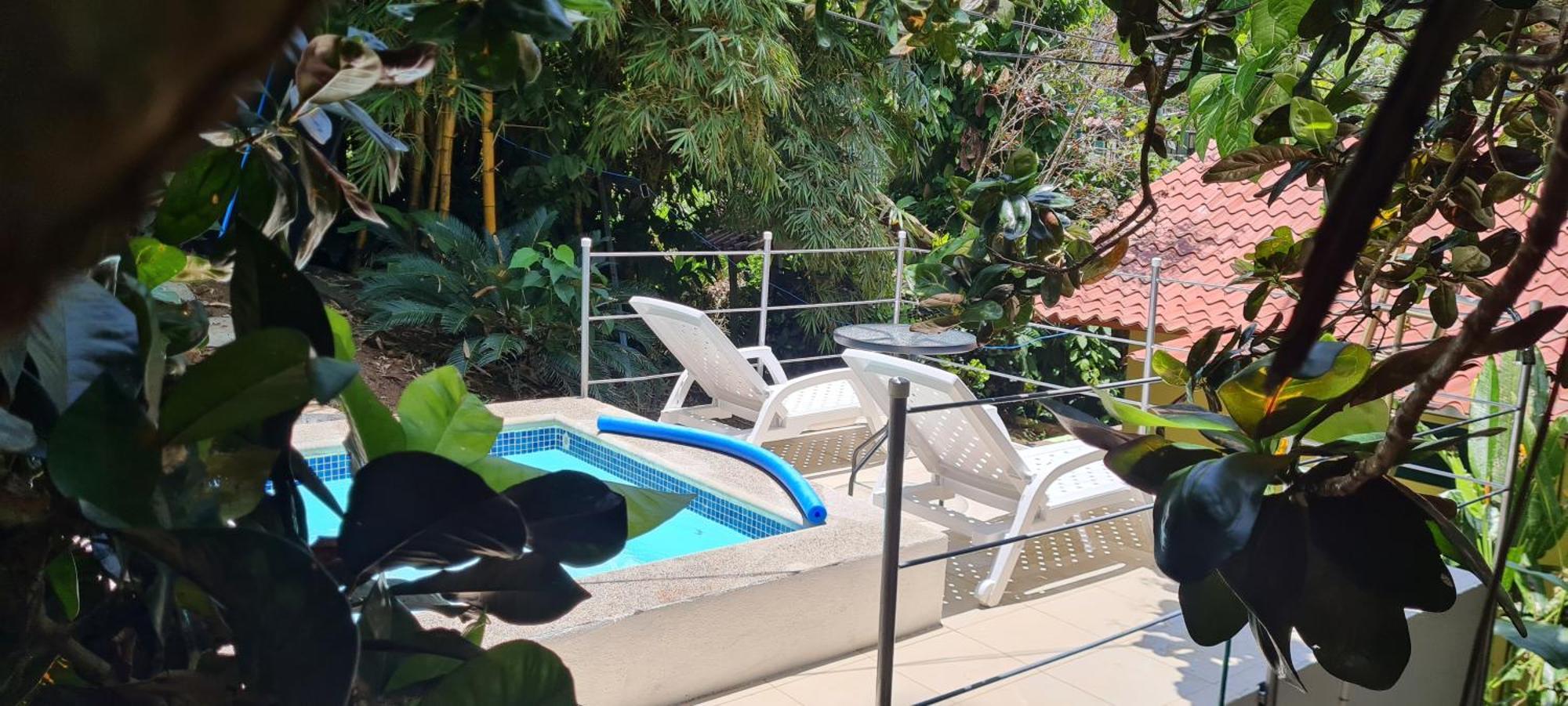Jungle Beach Bungalow With Ac & Fiber Optic Puerto Viejo de Talamanca Exterior foto